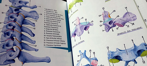 Foto da página de Anatomia Óssea da Coluna Cervical do livro Atlas de Anatomia Radiográfica - Radiologia é o Poder