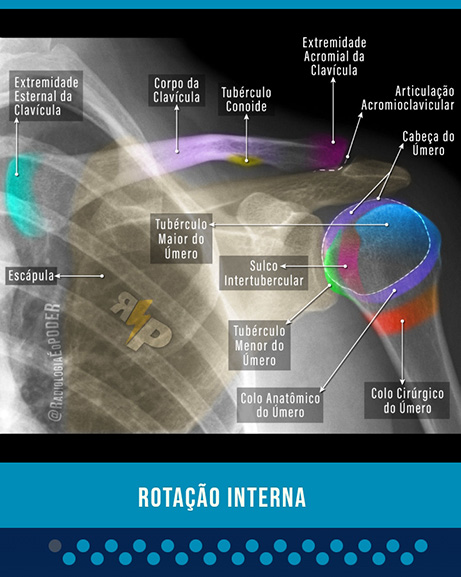 Em nossa plataforma de estudos online, você estuda em vídeos de treinamento e quiz de memorização.