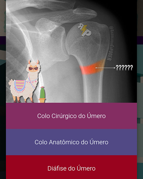 Quiz de nossa plataforma de estudos online.